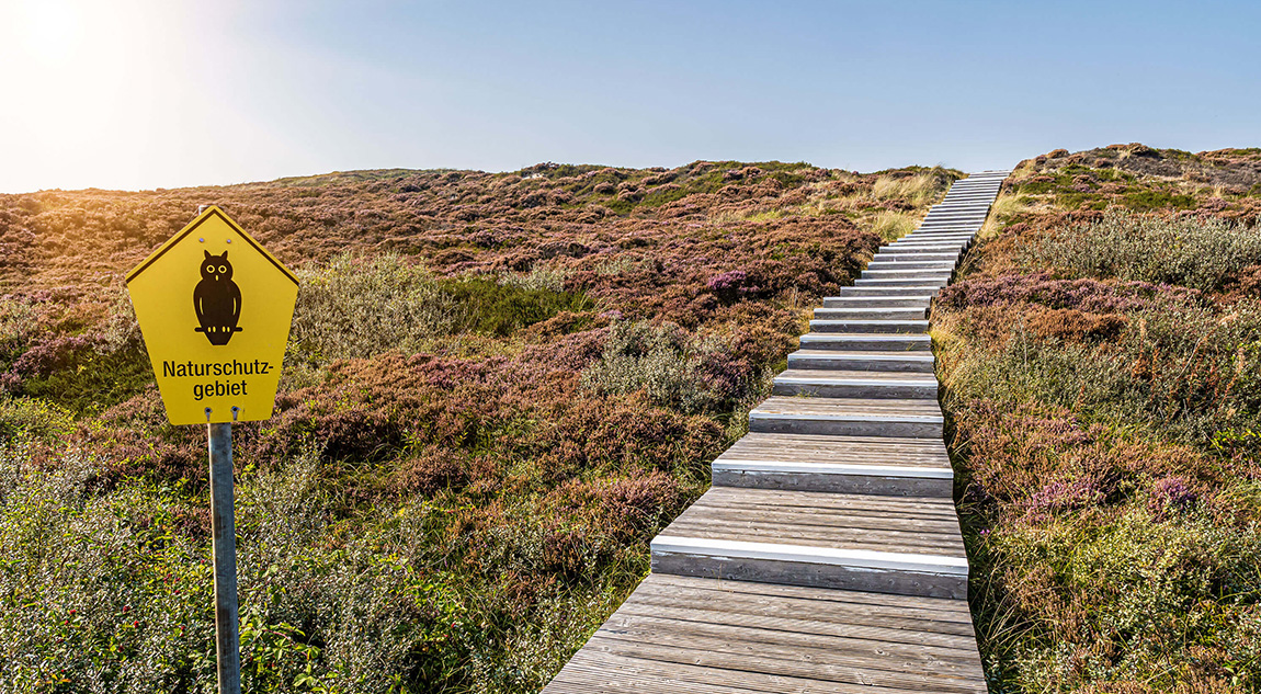 Wohnen Leben In Suderheide Westerheide Auf Sylt Mogck Eberle Sylt Wohnen Leben In Suderheide Westerheide Auf Sylt Mogck Eberle Sylt